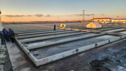 Çanakkale'deki tesis nadir görülen bir iş yapıyor