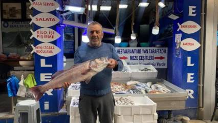 Oltayla yakalandı, 9 bin liraya satıldı