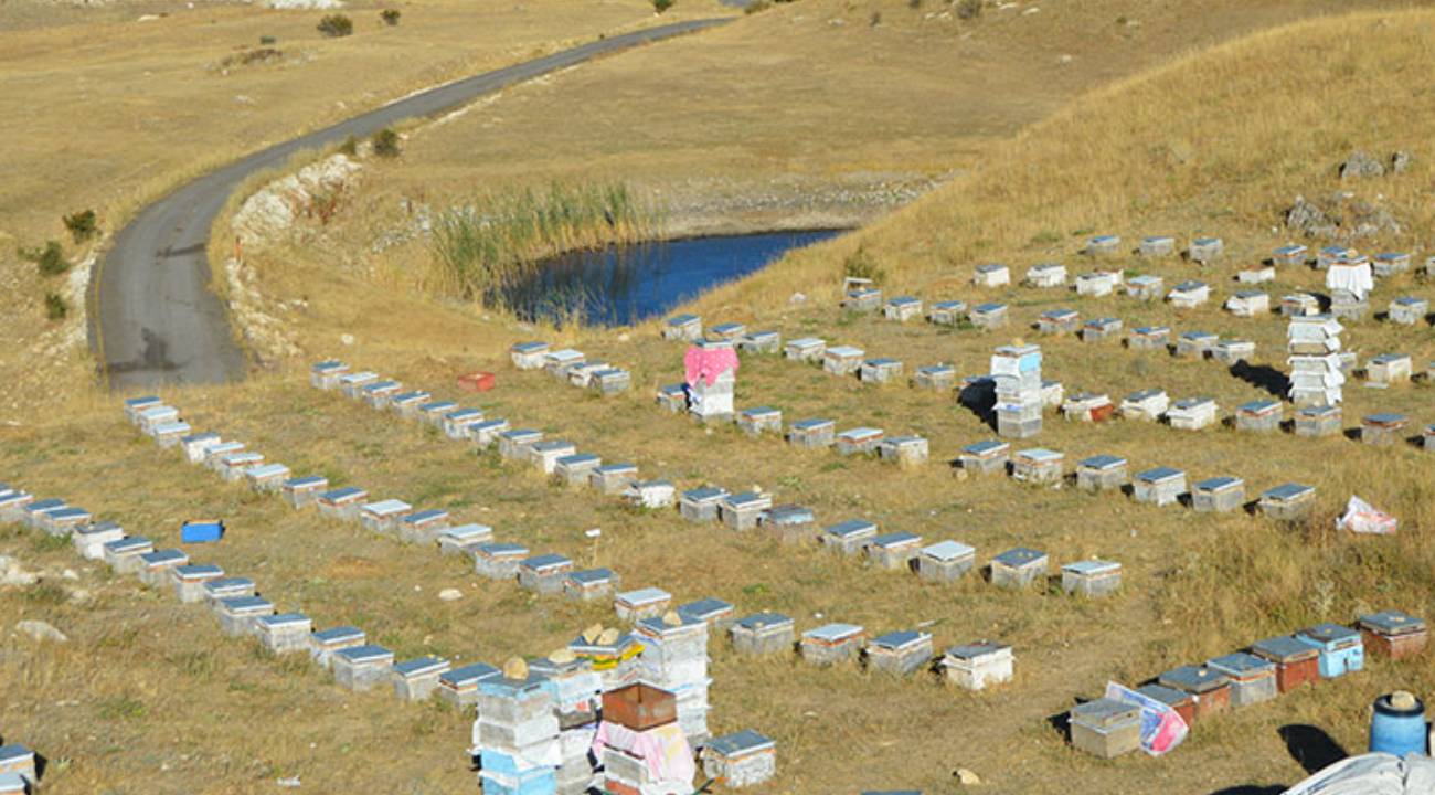 60 haneli mahallede hemen herkes aynı işi yapıyor