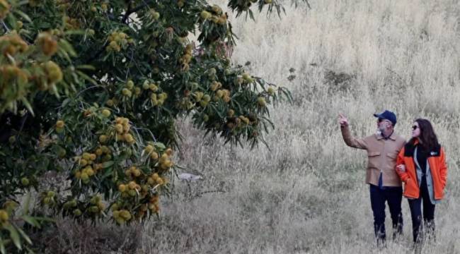DEVLET DESTEĞİ ÖNEMLİ