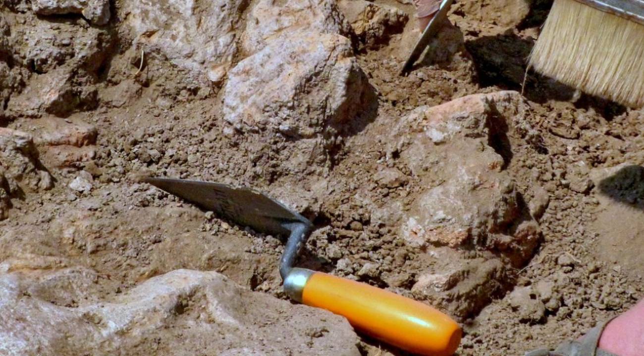 6. yüzyıla ait Türk parası bulundu