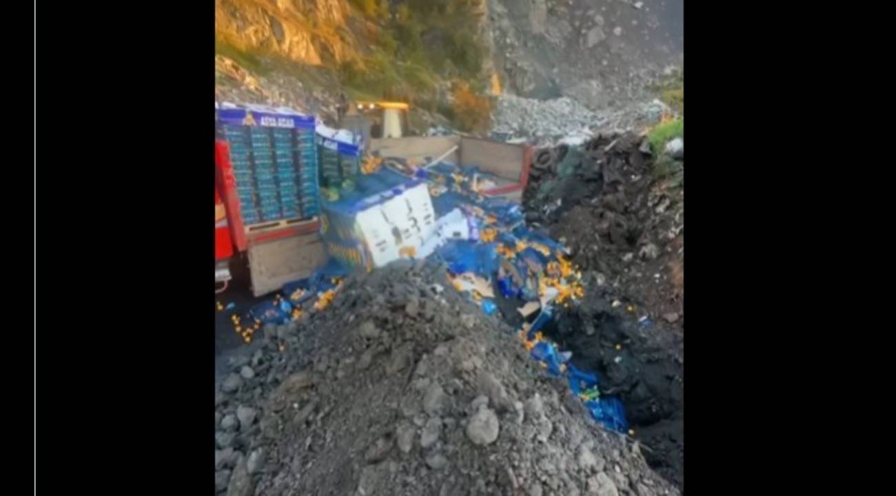 Zirai ilaç kalıntısı bulunan 6 bin 100 kilogram mandalina imha edildi