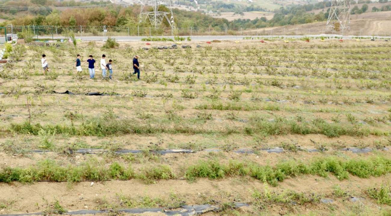 Yan iş olarak kurdu: Hem ek gelir oluyor, hem stres atıyor