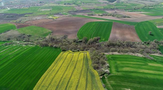 Emlakjet'e göre 'arsa' ilgisi sürüyor: Öne çıkan iki bölge