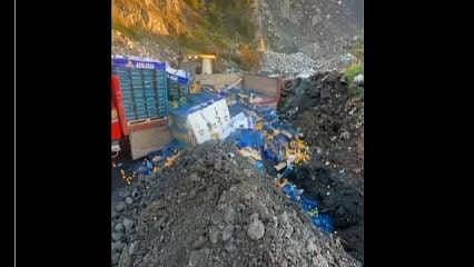 6 bin 100 kilogram mandalina imha edildi
