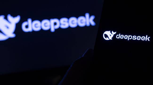 DeepSeek hakkında bir görüş