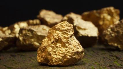 Ülkede onlarca yılın en büyük altın keşfi yapıldı