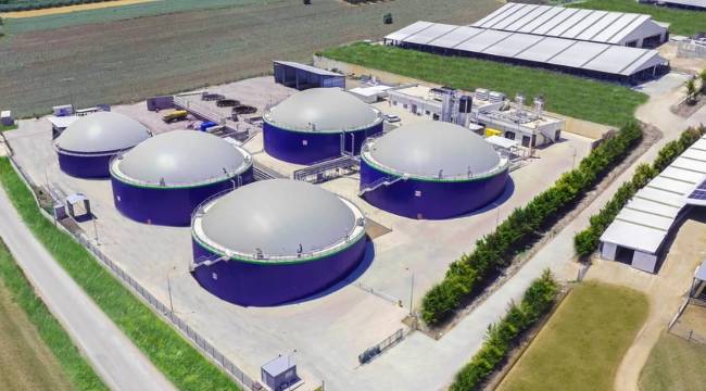 ECOGREEN HALKA ARZI TAHSİSAT GRUPLARI