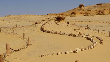 Dünyanın en ilginç yerlerinden: Çöldeki balinalar...