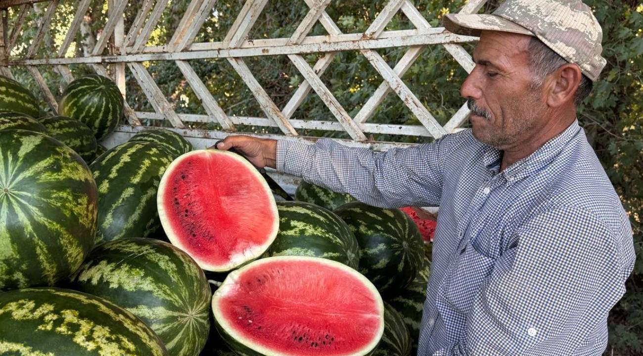 Toptan fiyatı üreticiyi kara kara düşündürüyor