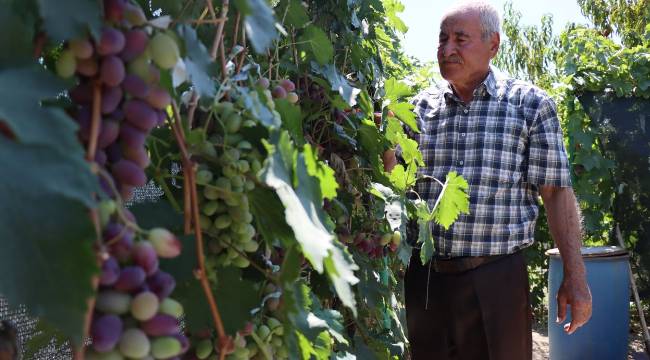 8 ÇOCUĞU 40 TORUNU VAR