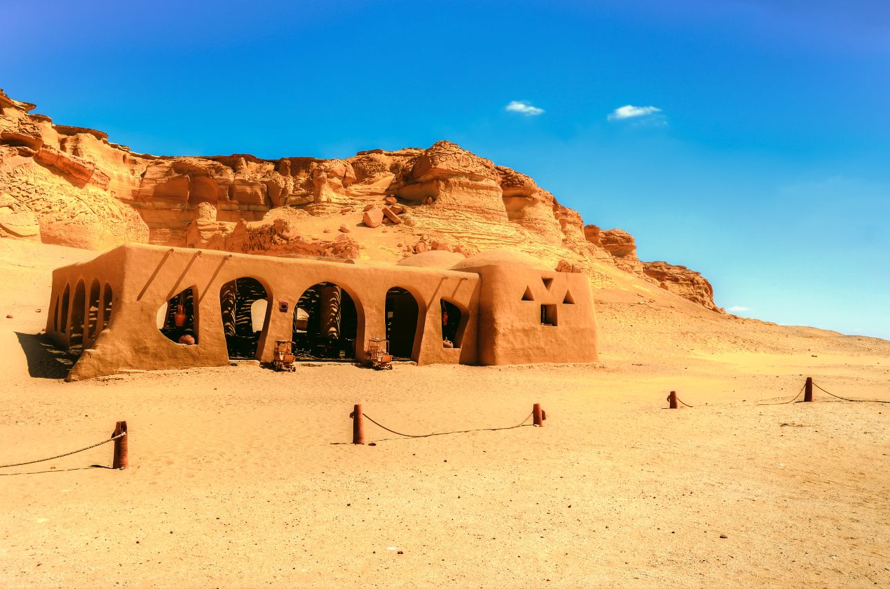 Dünyanın en ilginç yerlerinden: Çöldeki balinalar...-2