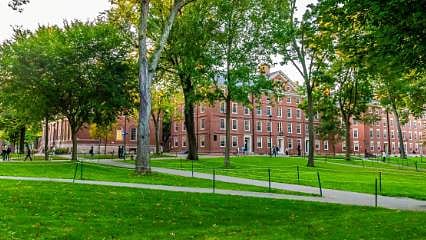 Harvard Üniversitesi'ne Trump şoku: 'Derhal geçerli iptal'