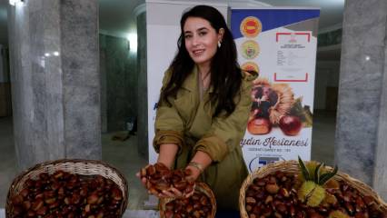 Aydın'da sezonun ilk kestaneleri 550 liradan satıldı