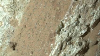 NASA açıkladı: İşaretler Mars'ta antik yaşamın en belirgin ipucu