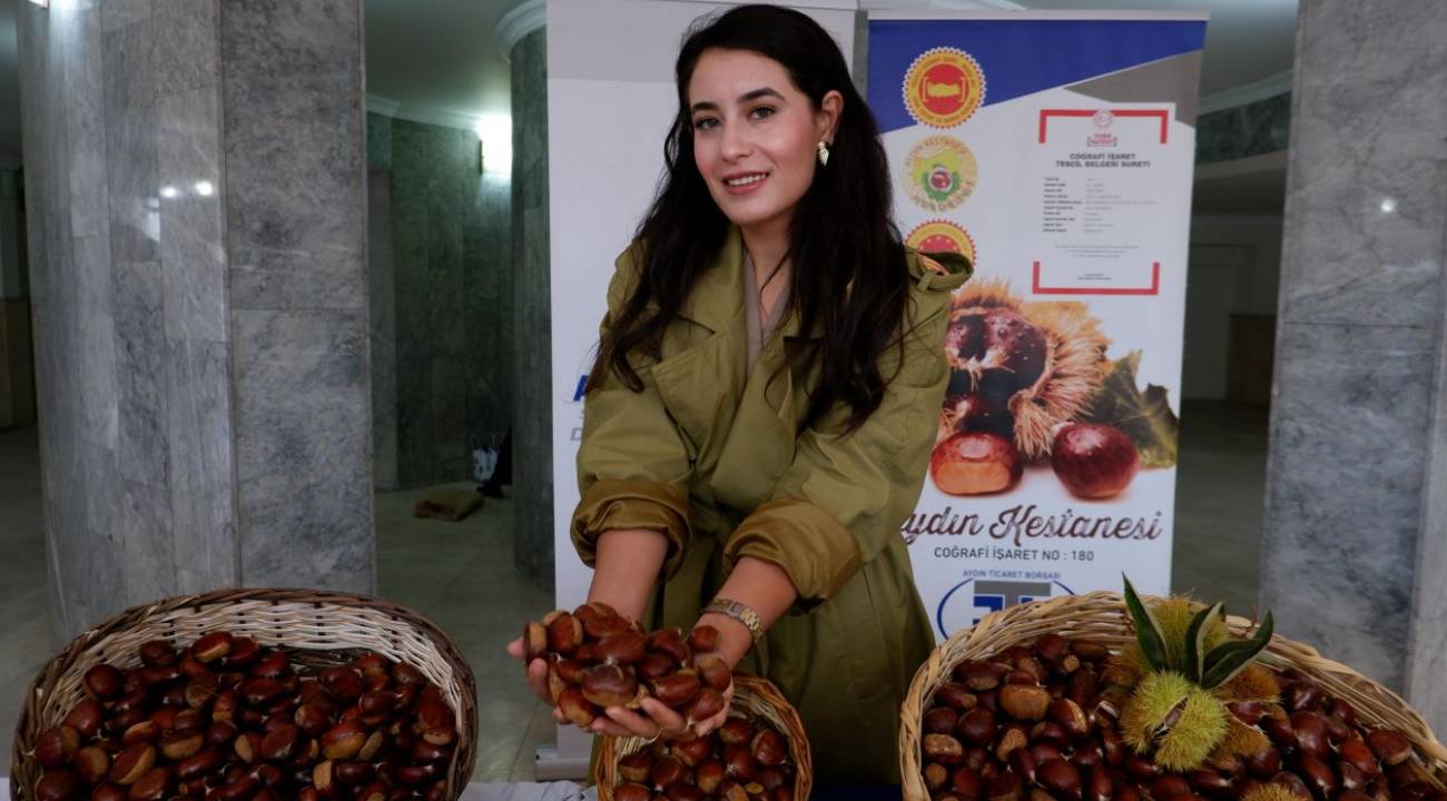 Aydın'da sezonun ilk kestaneleri 550 liradan satıldı
