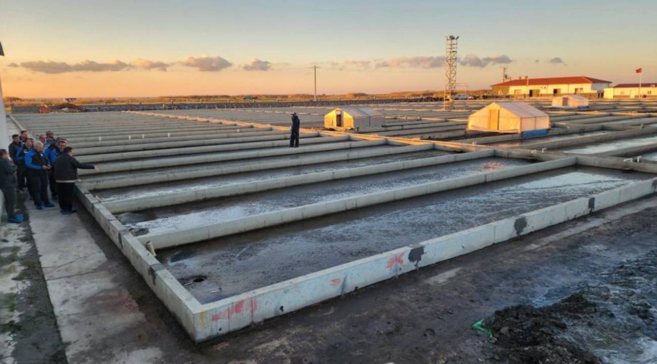 Çanakkale'deki tesis nadir görülen bir iş yapıyor