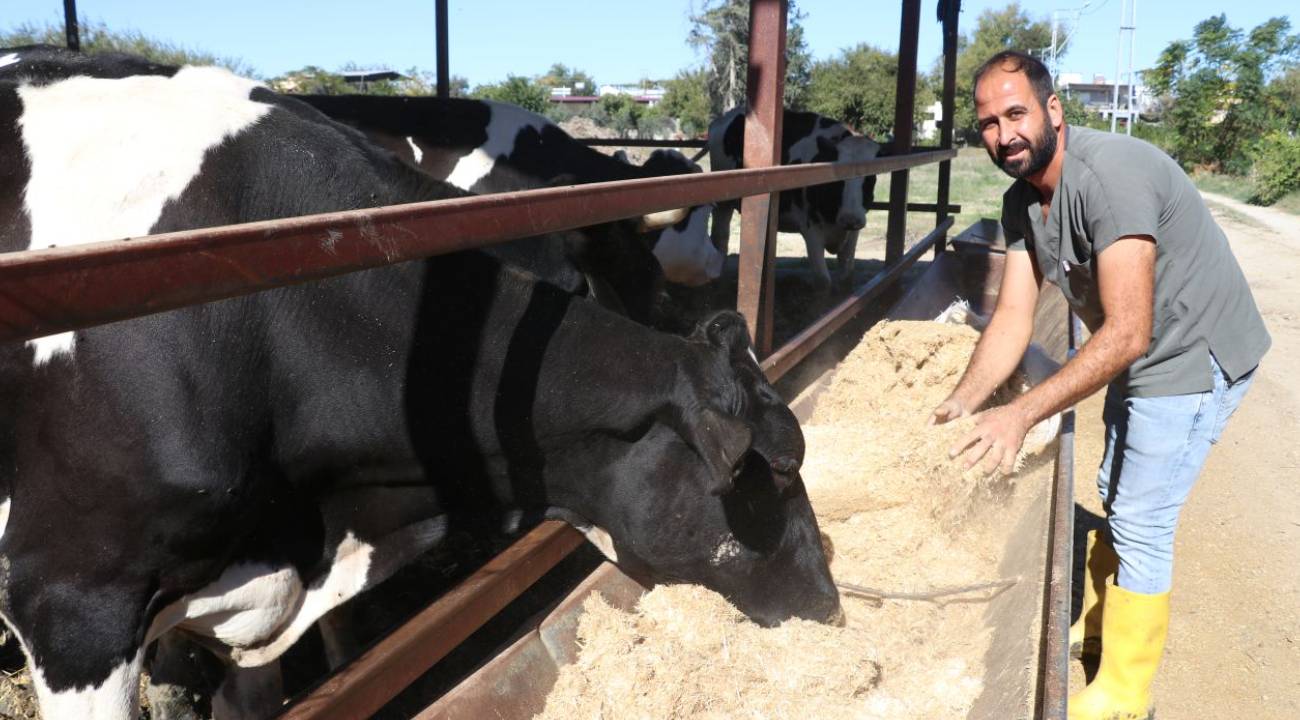 Sosyal medyada gördü, e-devlet'ten başvurdu, çiftlik sahibi oldu