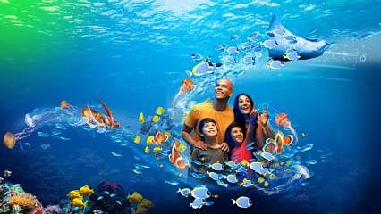 Madame Tussauds, Sea life, Legoland... Eğlence devi Türkiye'den çekiliyor