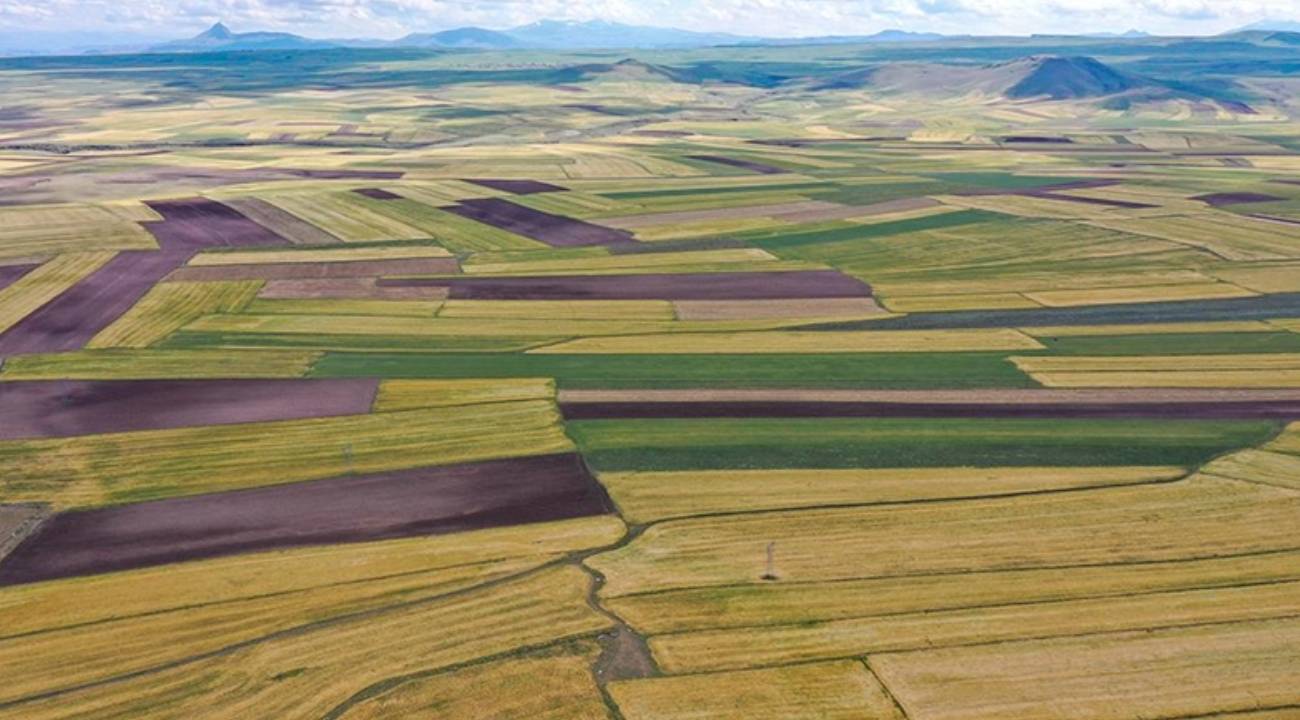 Milli Emlak Bursa 19 arsa satacak
