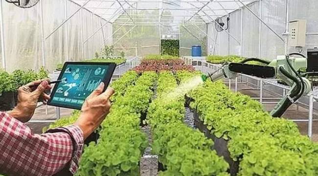  Agrotech'ten (AGROT) KAP'a TIR bildirimi