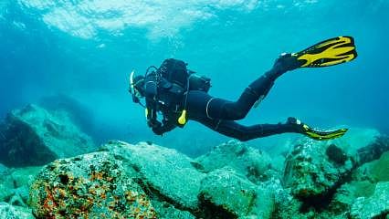 Ünlü milyarderin deniz altındaki su geçirmez kasalarında ne var?