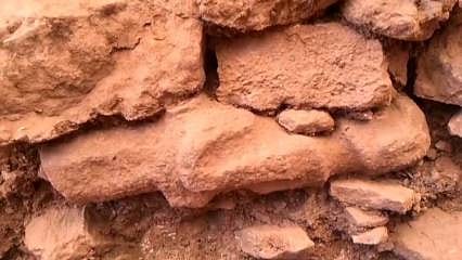 Göbeklitepe'de bulundu: Peki, ne anlama geliyor?