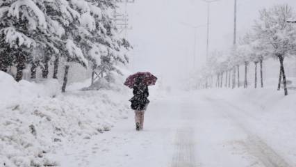 Erzincan'da kar nedeniyle okullar yarın da (26 Kasım) tatil edildi