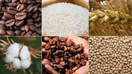 Paladyum, altın, gümüş, kahve... Emtia piyasasında geçen hafta