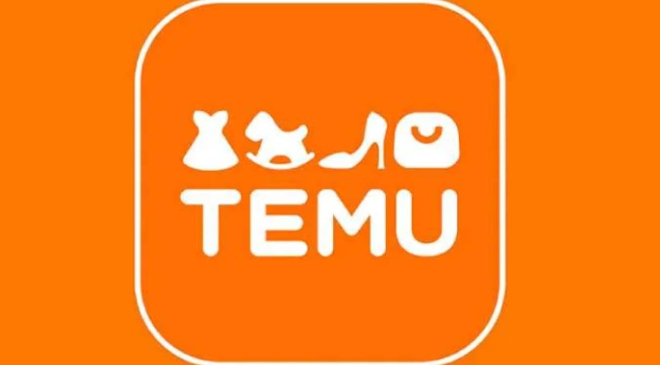Temu Türkiye'den dikkat çeken rakamlar: 1 yılda nasıl değişti?