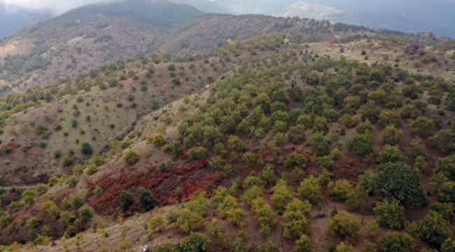 KIZIMLA BERABER YÜRÜYORUZ