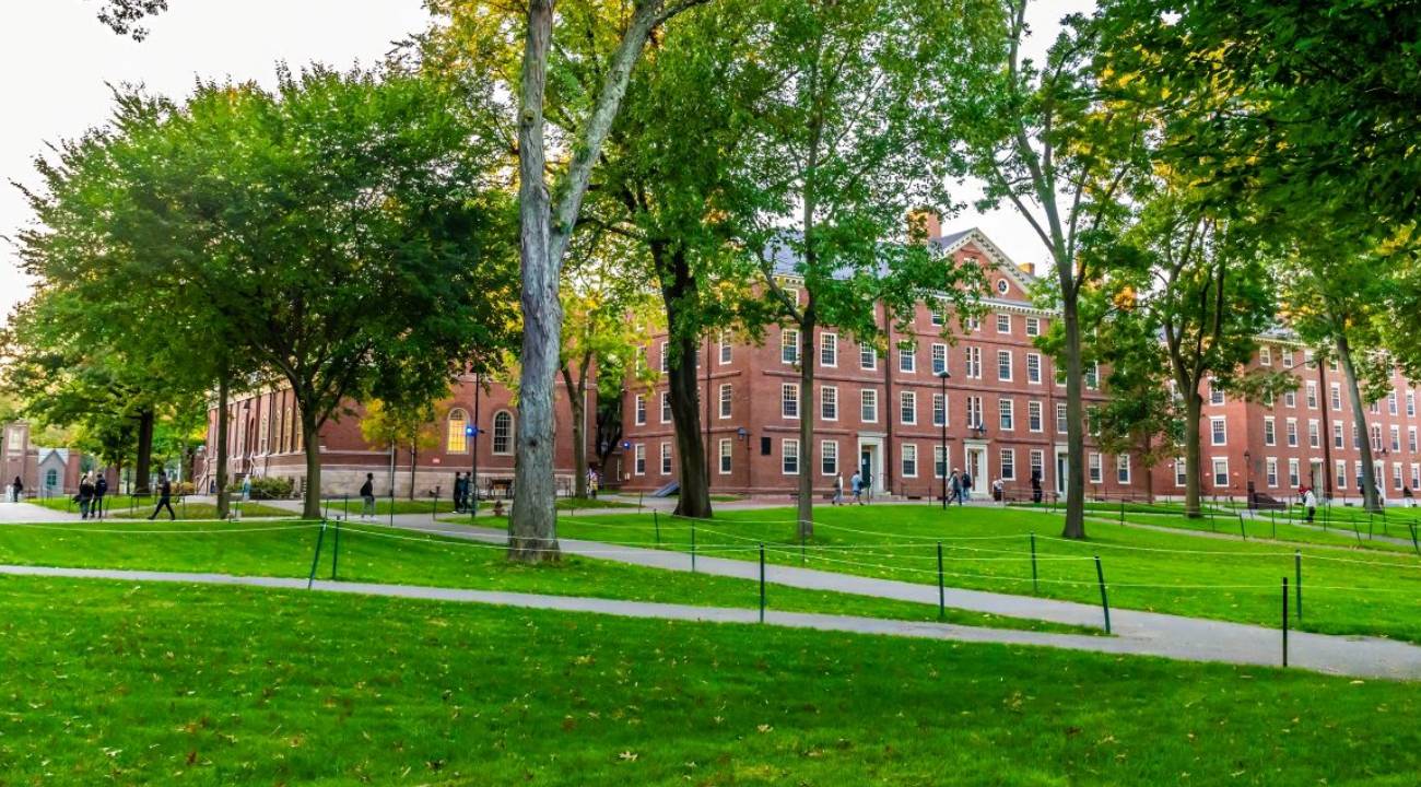 Harvard Üniversitesi'ne Trump şoku: 'Derhal geçerli iptal'