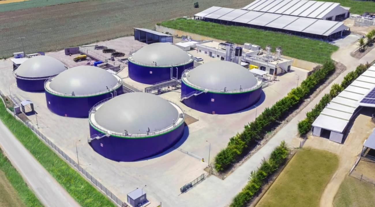 Ecogreen Enerji halka arz tarihi: Lot sayısı, fiyatı ne kadar? Ne iş yapıyor?