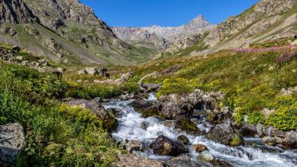 'Orduları devirecek kadar güçlü: Dünyada sadece 2 yerde var, biri Türkiye'