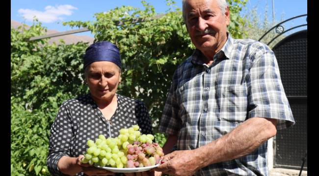 2017'DE GELDİLER