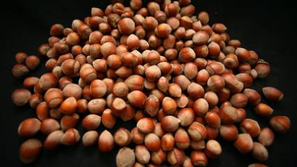 Fındık haberlerinin ardından Rekabet Kurulu Başkanı'ndan açıklama var