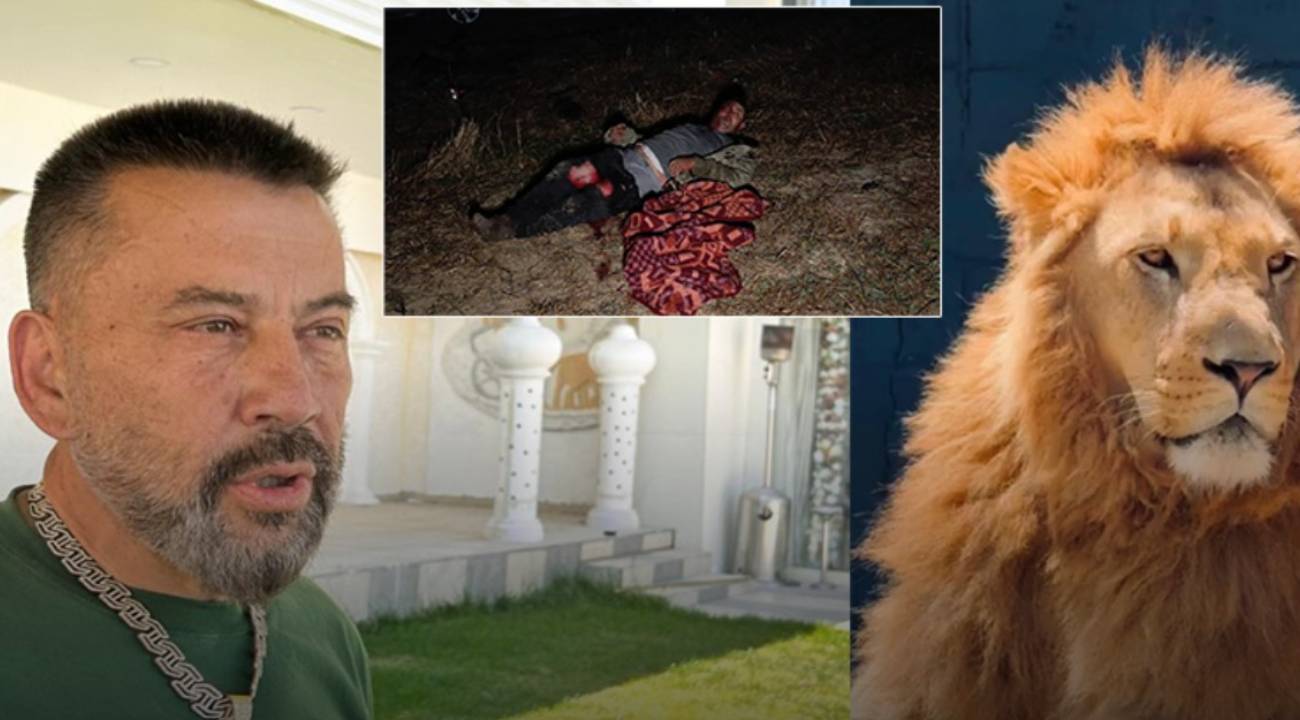 Bu kez aslanın sahibi konuştu