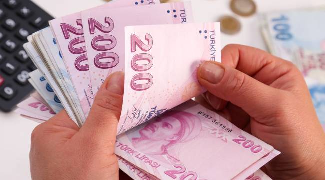 Türkiye'de yıllık brüt kazancın en yüksek olduğu 2 sektör