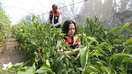 Ziraat mühendisleri 'burada olmaz' denilen yerde olabileceğini gösterdi