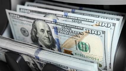 Merkez Bankası döviz rezervleri rekor seviyede