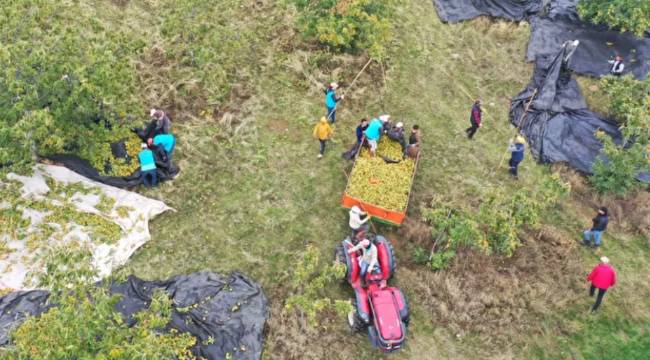 20 ÜLKEYE İHRACAT YAPIYORLAR