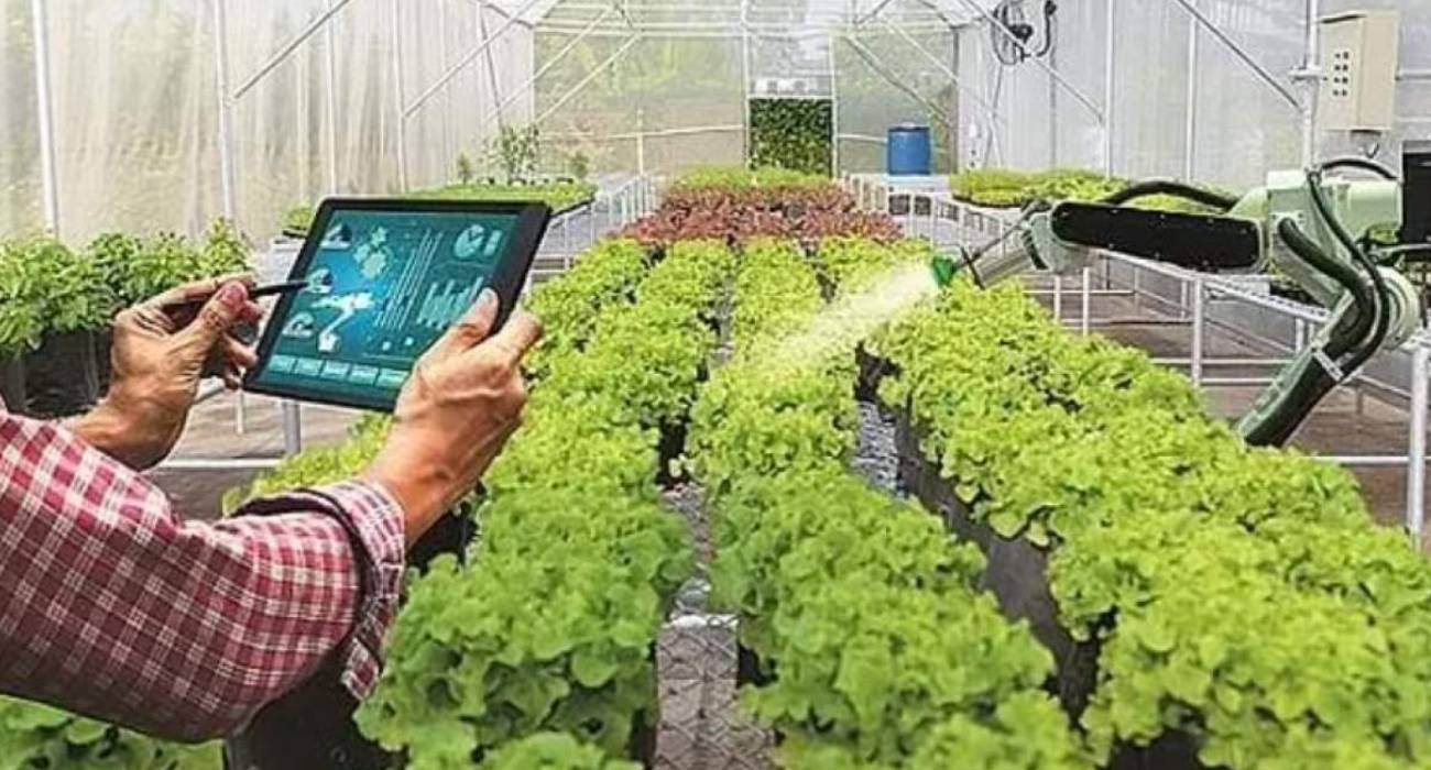  Agrotech'ten (AGROT) KAP'a TIR bildirimi