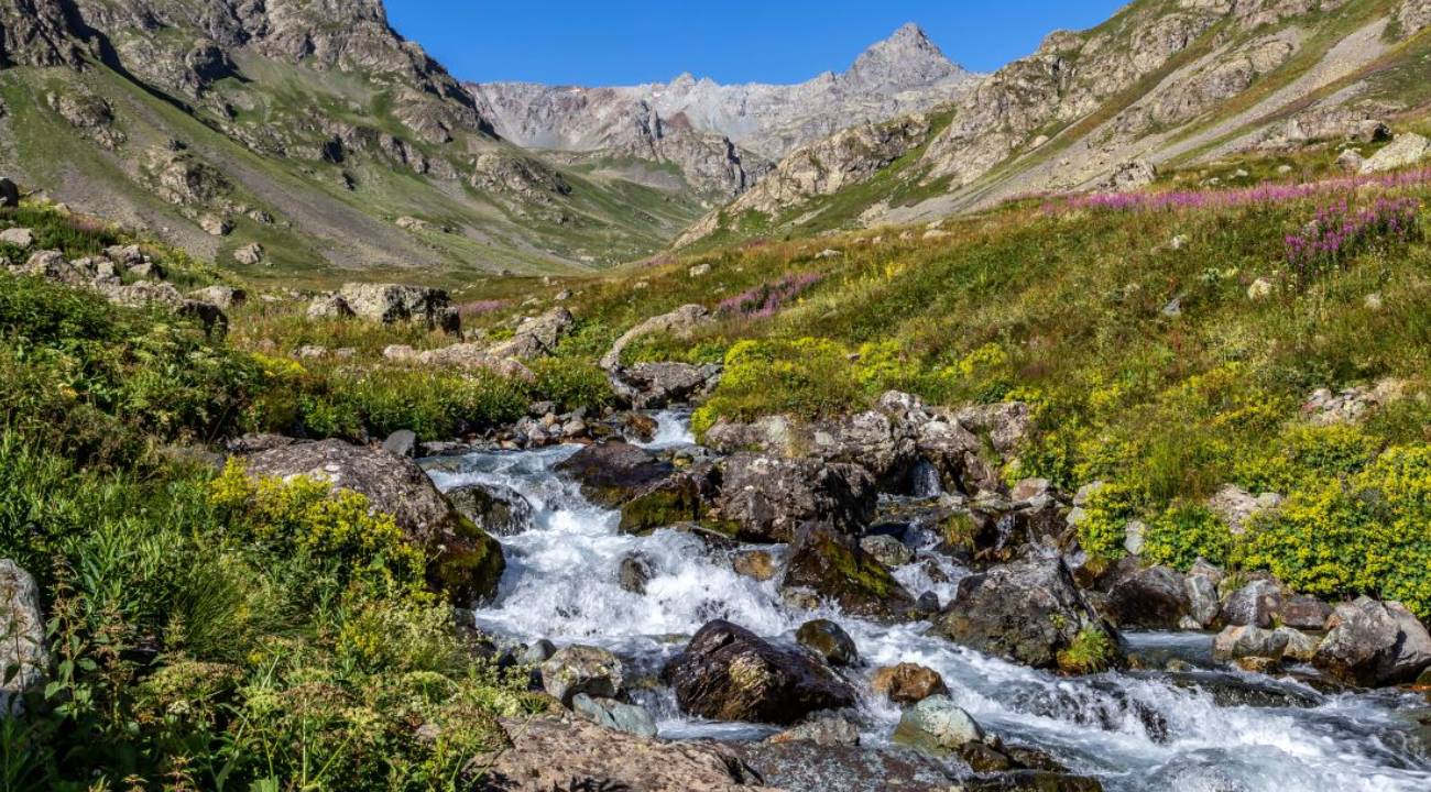 'Orduları devirecek kadar güçlü: Dünyada sadece 2 yerde var, biri Türkiye'