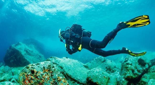 Ünlü milyarderin deniz altındaki su geçirmez kasalarında ne var?