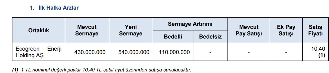 SPK'dan yeni bülten: Enerji şirketi halka arz oluyor-1