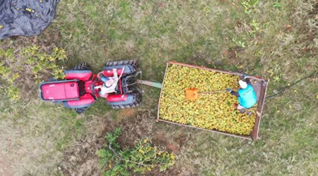 ARAZİ SATIN ALDILAR