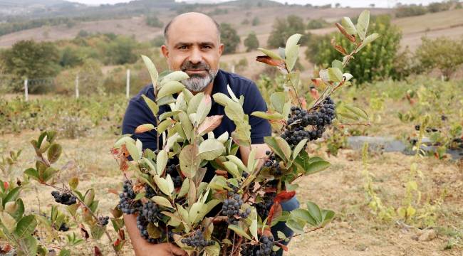 CUMADAN GELİP HAFTA SONUNU BURDA GEÇİRİYORUZ