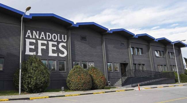 Anadolu Efes (AFES), Fitch kredi notunu duyurdu