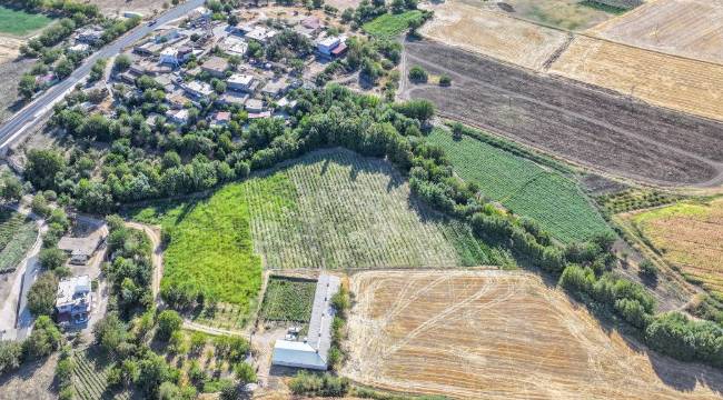 GEÇEN YIL 2.3 TON ÜRÜN ELDE ETTİ