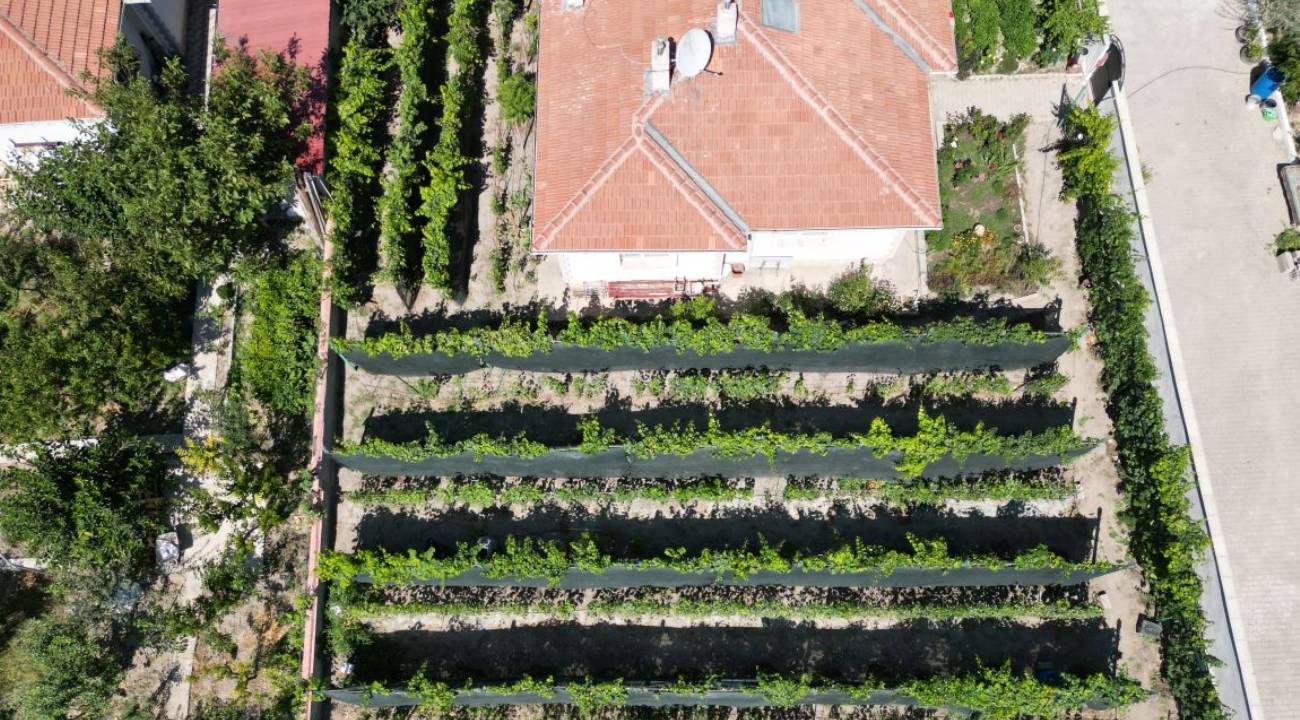 Ahıska Türkü çift döşek arasında getirdi, 70 çeşit üretiyorlar